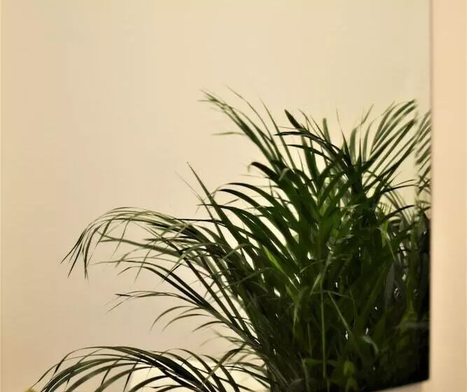 Majatalo Residenza Madonna