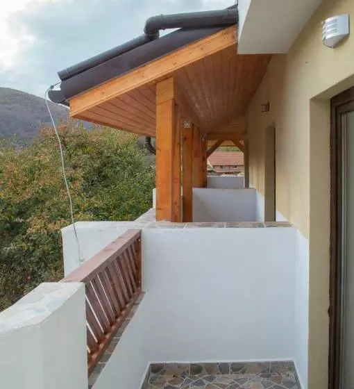 Pensiune Casa Ampeia