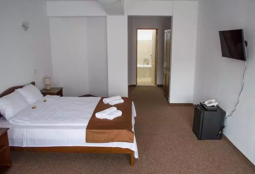 Pensiune Casa Ampeia