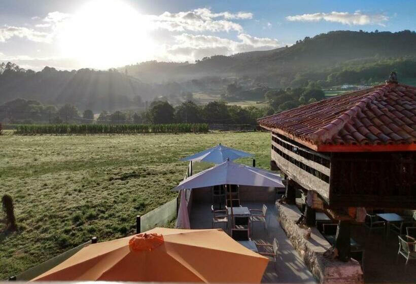 ユースホステル El Campo De Petra