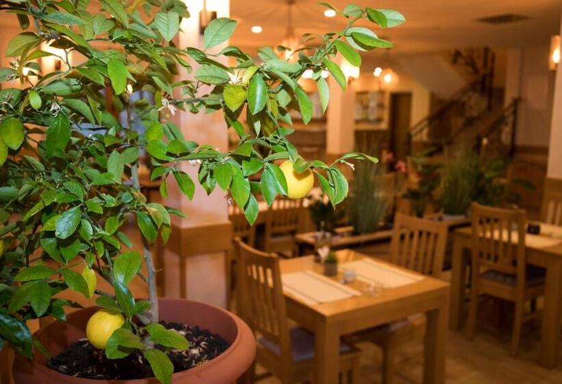 هاستل Villa Bunski Biser