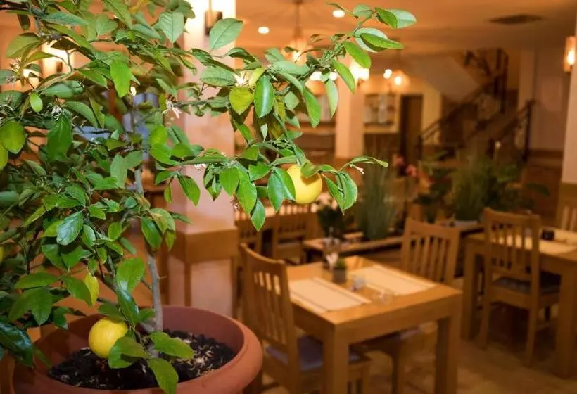 هاستل Villa Bunski Biser