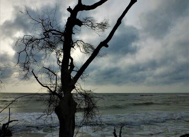 בית מלון כפרי Sands Kalpitiya By Gln