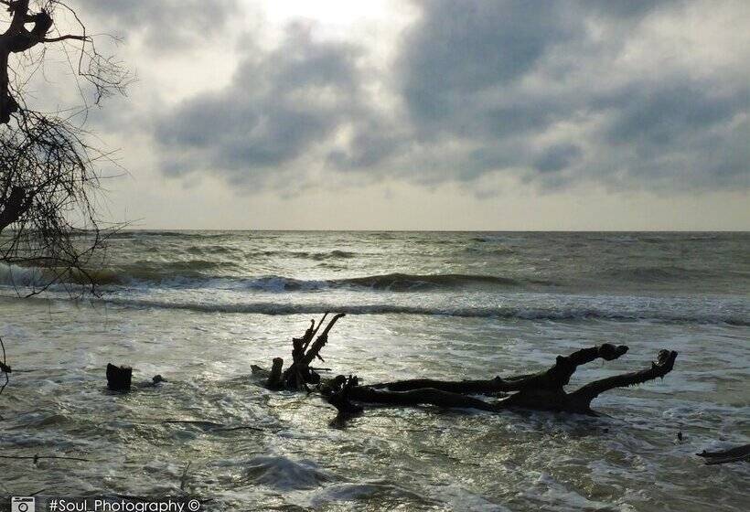 בית מלון כפרי Sands Kalpitiya By Gln