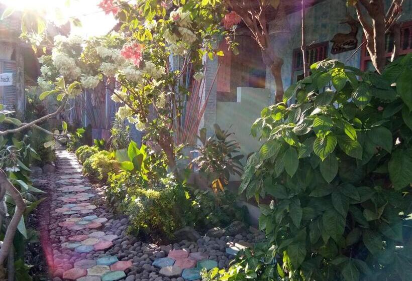 ユースホステル Lovina Loca