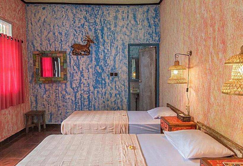 ユースホステル Lovina Loca