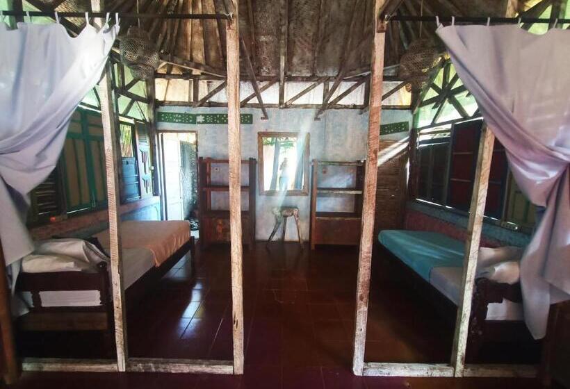 ユースホステル Lovina Loca