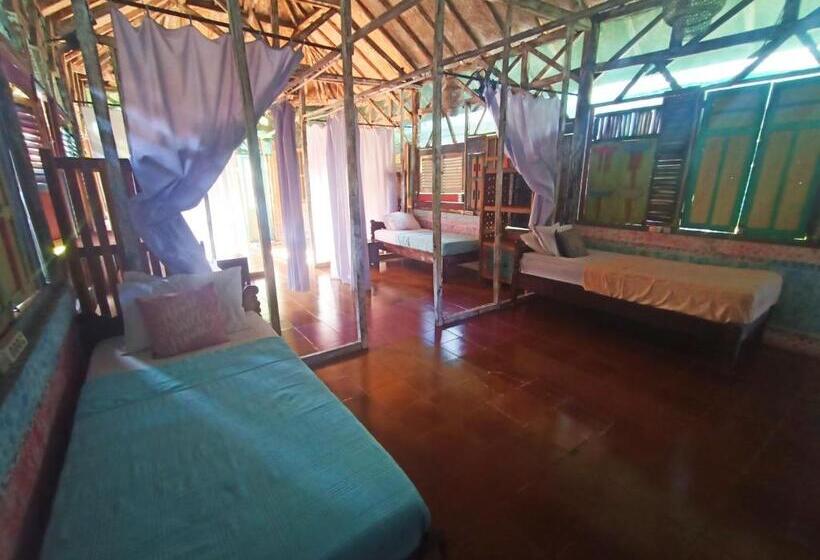 ユースホステル Lovina Loca