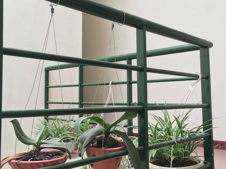 تختخواب و صبحانه Hao Tea Hostel