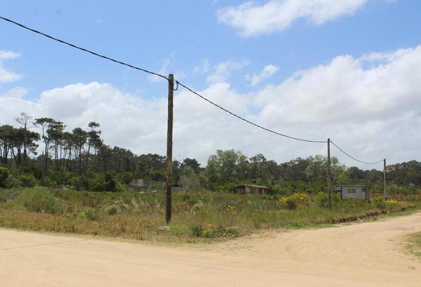 La Paloma Containers Suites