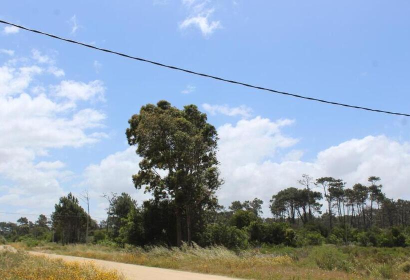 La Paloma Containers Suites