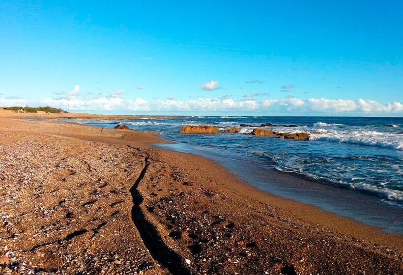 La Paloma Containers Suites