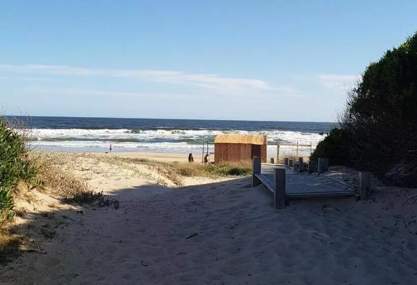 La Paloma Containers Suites