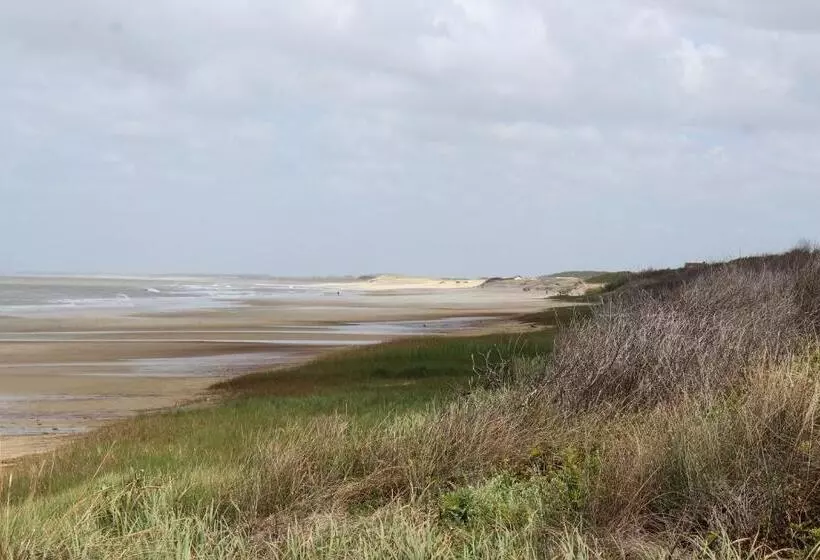 La Paloma Containers Suites