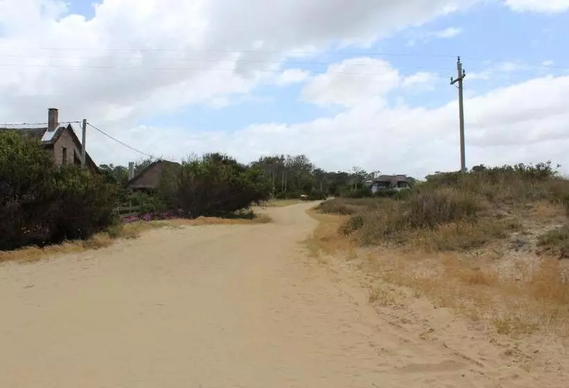 La Paloma Containers Suites