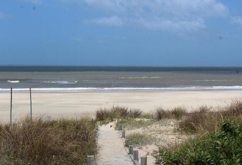 La Paloma Containers Suites