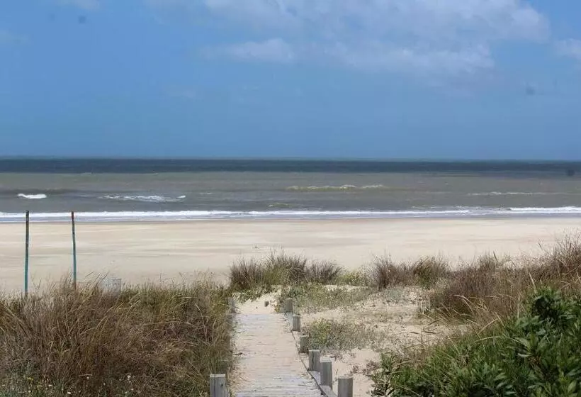 La Paloma Containers Suites