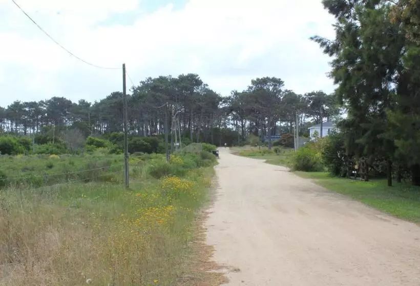 La Paloma Containers Suites