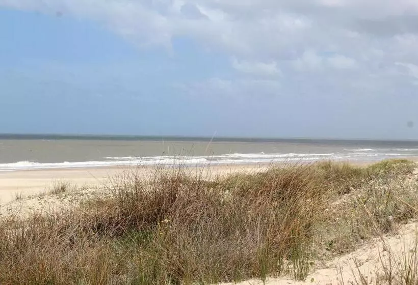 La Paloma Containers Suites