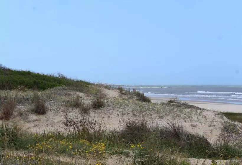 La Paloma Containers Suites