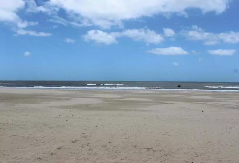 La Paloma Containers Suites