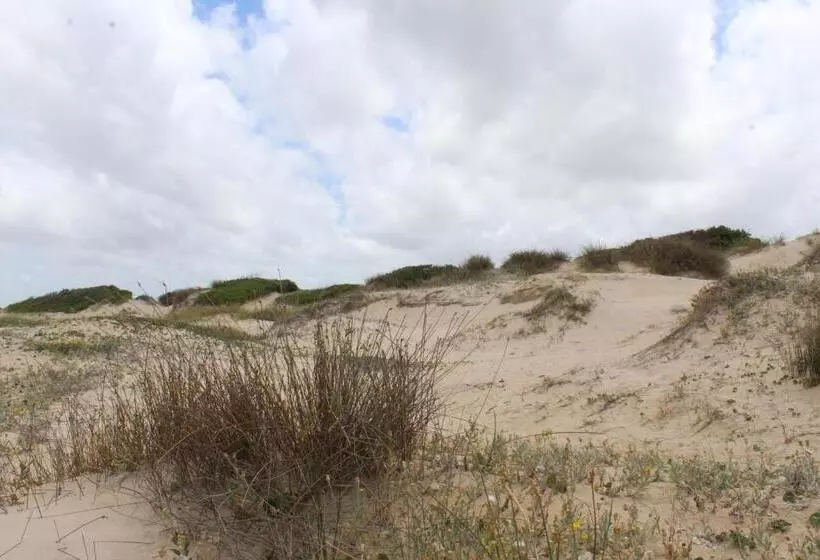 La Paloma Containers Suites