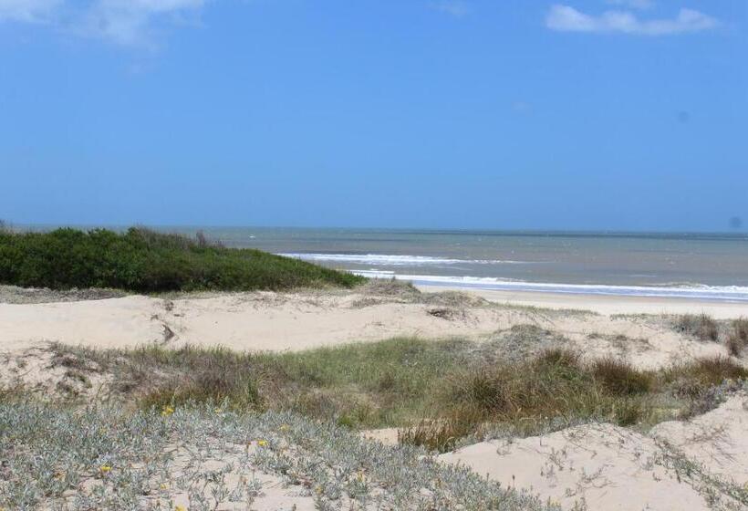 La Paloma Containers Suites