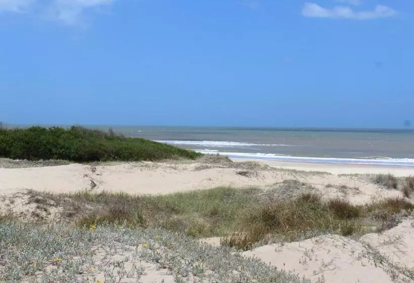 La Paloma Containers Suites