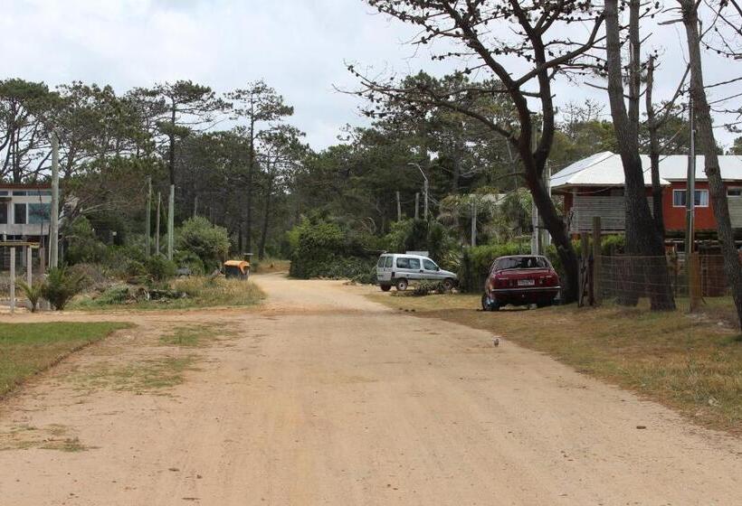 La Paloma Containers Suites