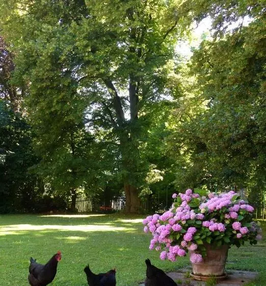 Bed And Breakfast Unter Den Linden