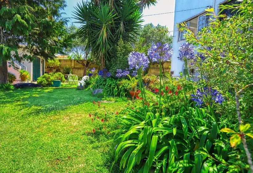 Aamiaismajoitus (B&B) Lugar Saloio Sintra