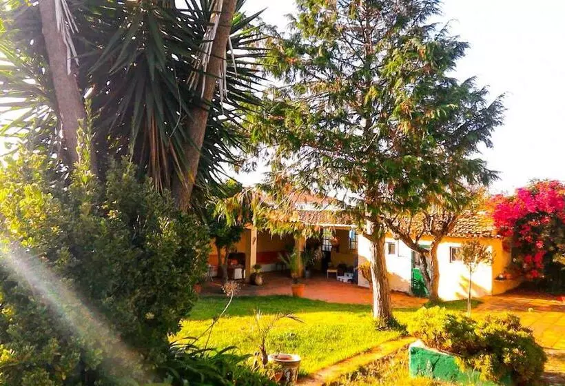Aamiaismajoitus (B&B) Lugar Saloio Sintra