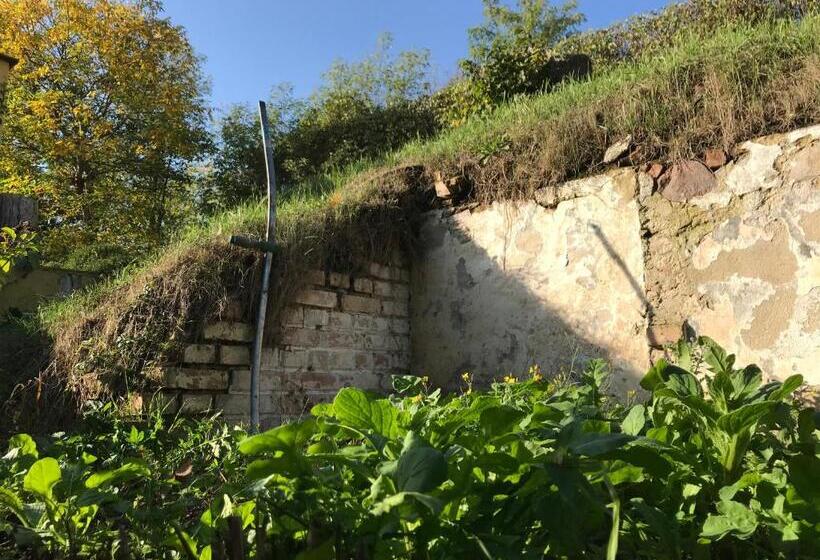 Bed & Breakfast Bellevue Gastgeberei