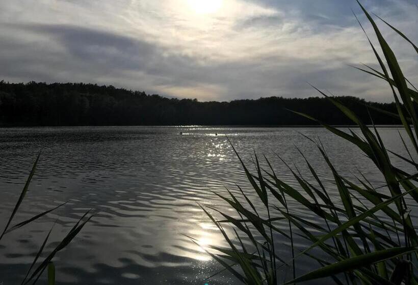 Bed & Breakfast Bellevue Gastgeberei