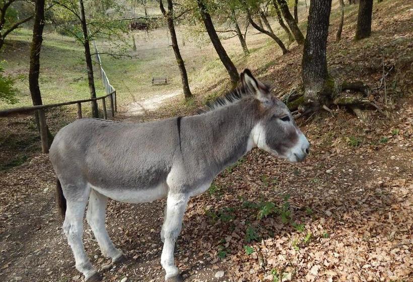 هتل Agriturismo La Selva