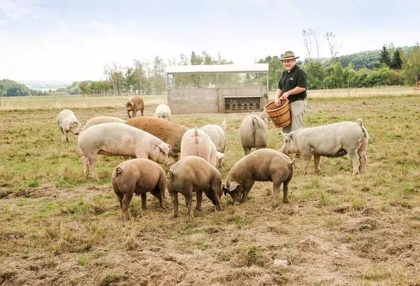 Hotelli Landgasthof Zur Tanne