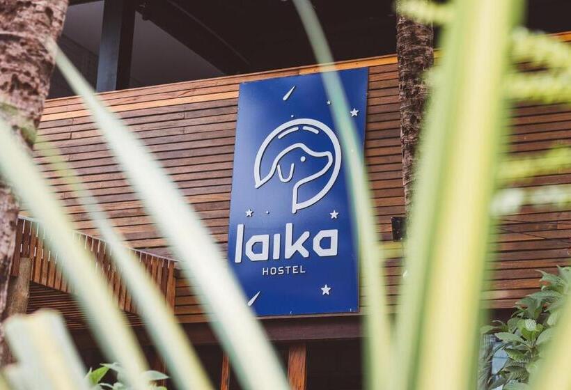 Laika Hostel
