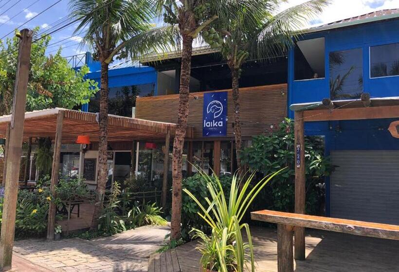 Laika Hostel