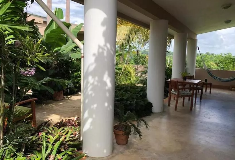 تختخواب و صبحانه 4 Casitas