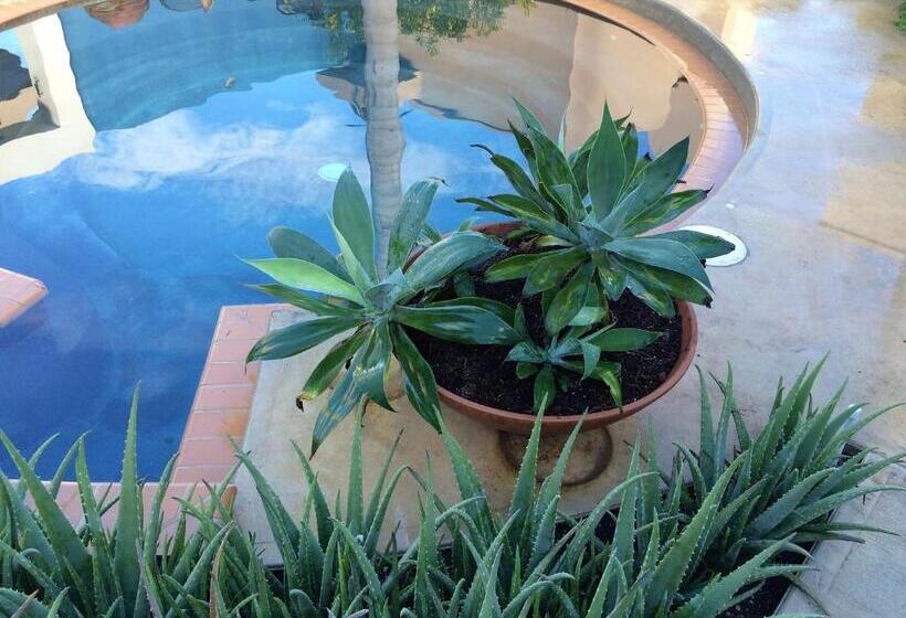 تختخواب و صبحانه 4 Casitas