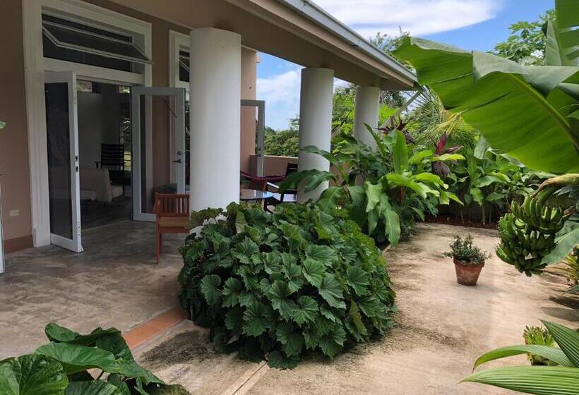 تختخواب و صبحانه 4 Casitas