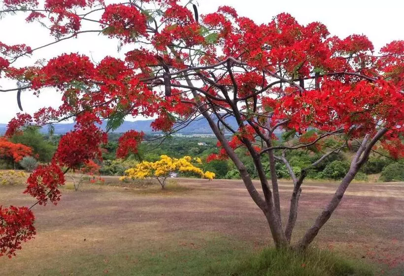 تختخواب و صبحانه 4 Casitas