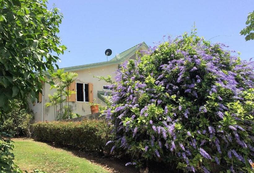 تختخواب و صبحانه 4 Casitas