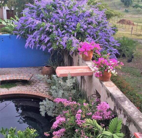 تختخواب و صبحانه 4 Casitas