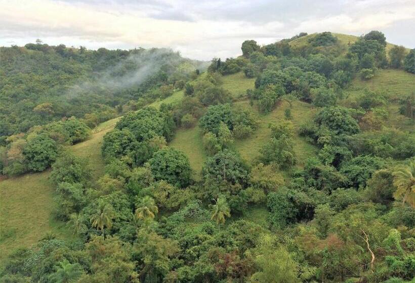 تختخواب و صبحانه 4 Casitas