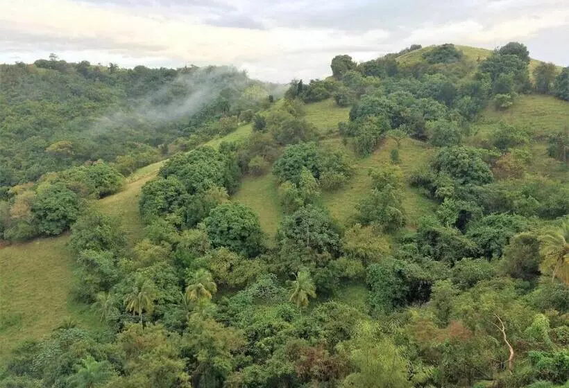 تختخواب و صبحانه 4 Casitas