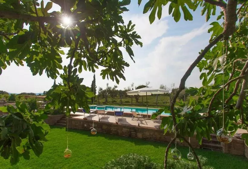 Aamiaismajoitus (B&B) Podere Ficolivo