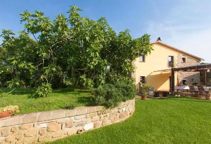 Aamiaismajoitus (B&B) Podere Ficolivo