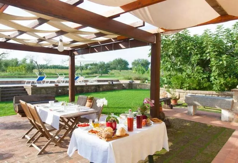 Aamiaismajoitus (B&B) Podere Ficolivo