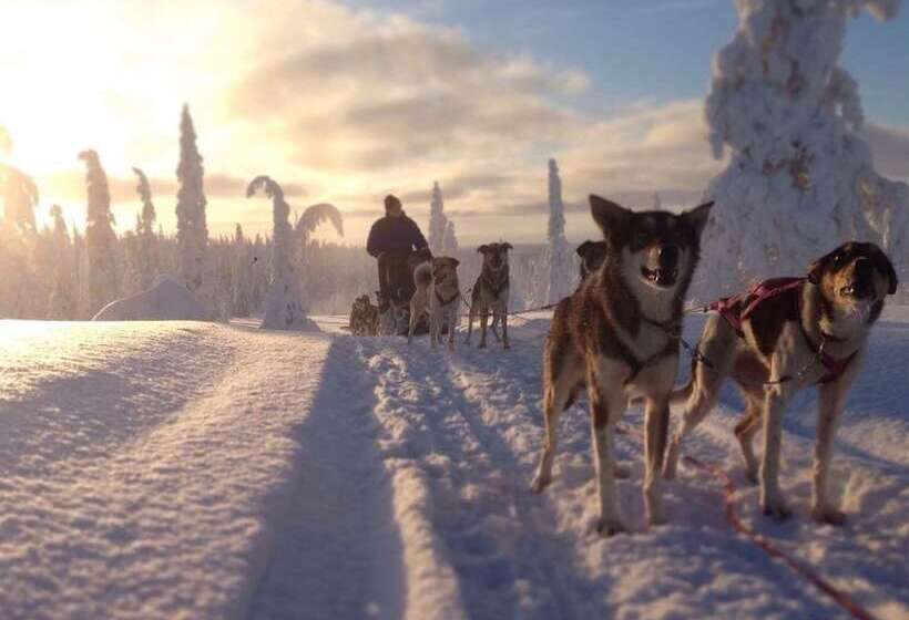 فندق Li Ujevaara